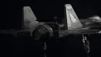 Lead Honor Drone Falcon